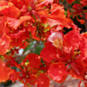 Meet your Posher, Brielle